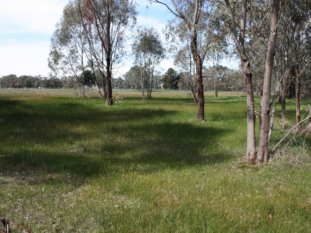 195 Grant Drive, Benalla