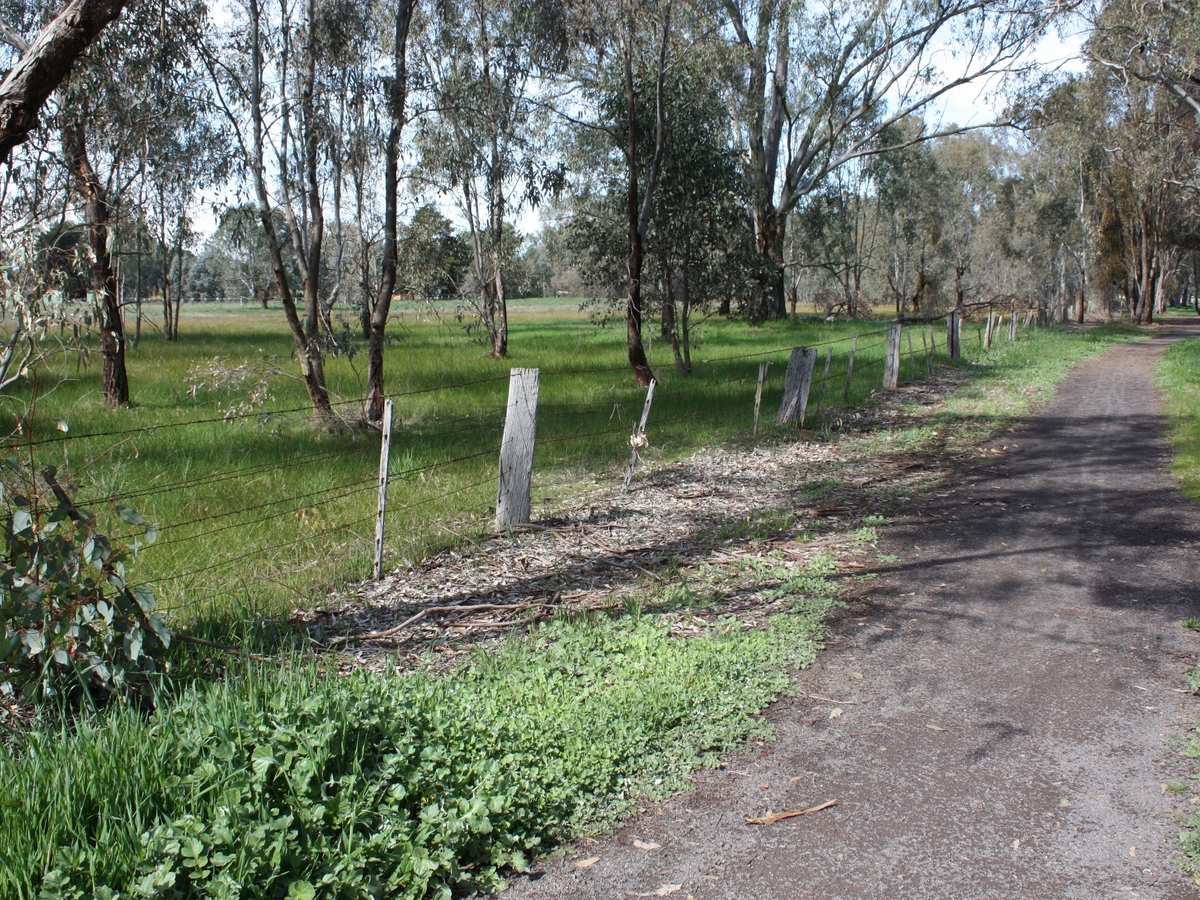 195 Grant Drive, Benalla