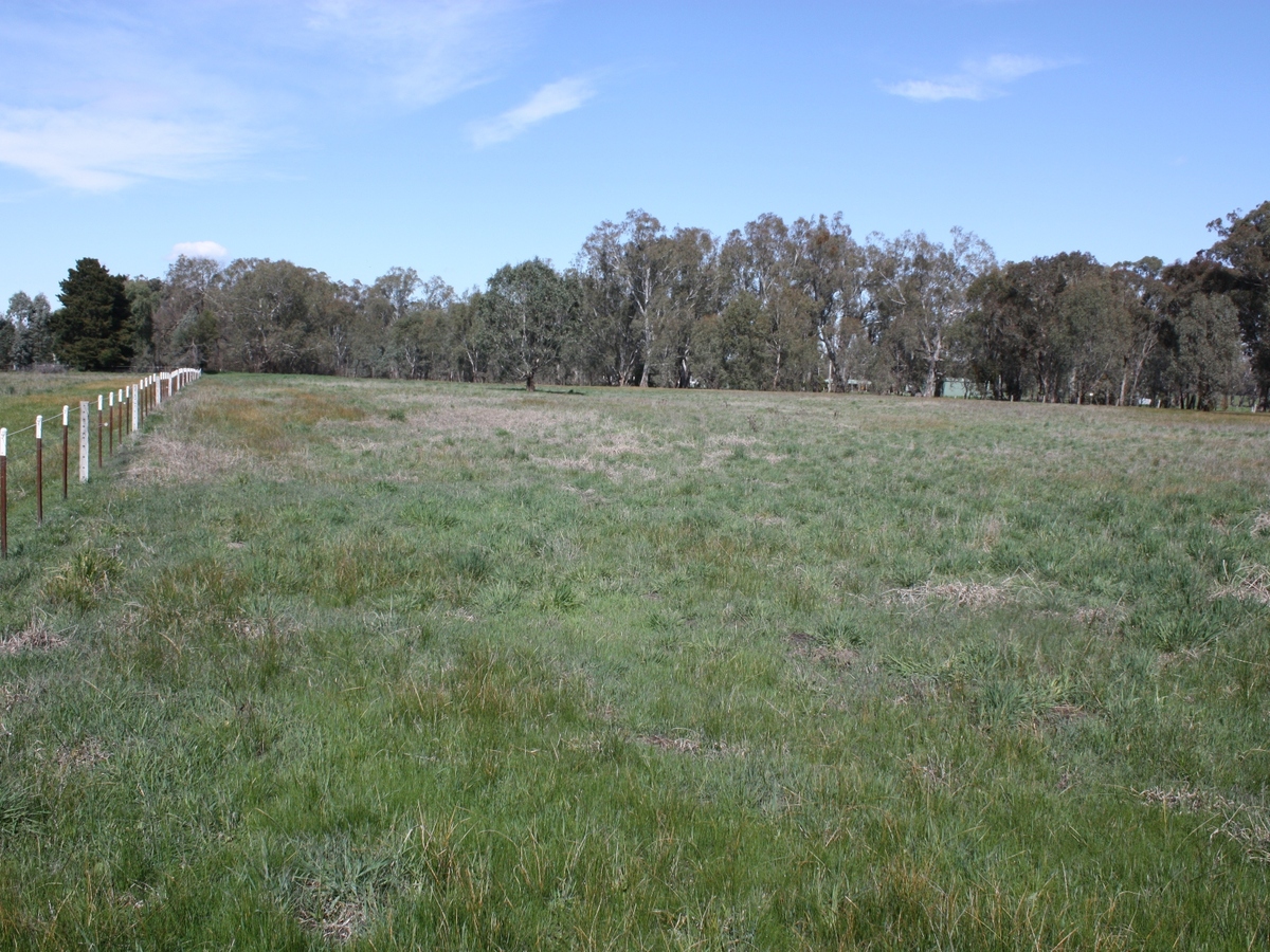 195 Grant Drive, Benalla