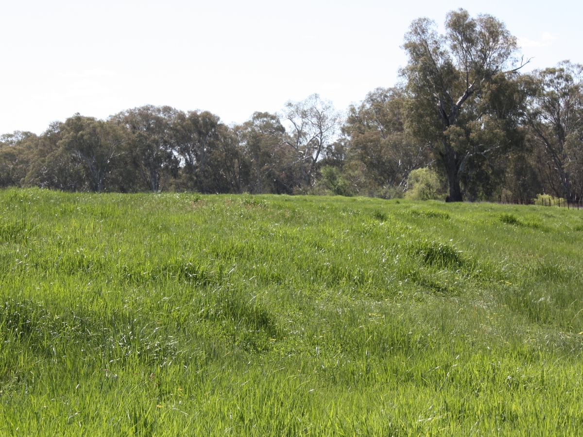 619 Mansfield Road, Benalla