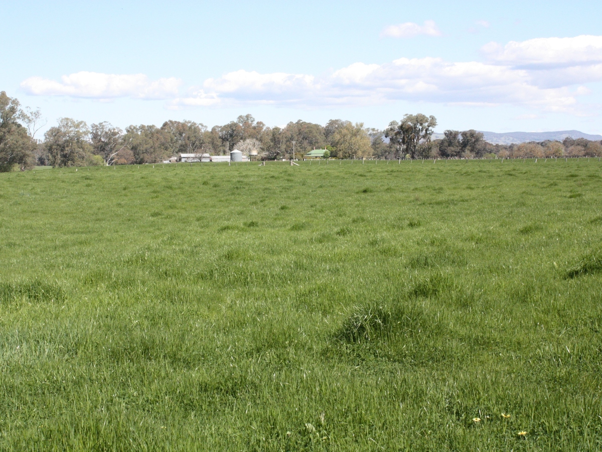 619 Mansfield Road, Benalla