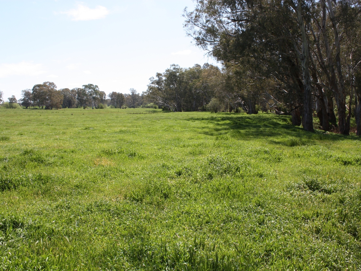 619 Mansfield Road, Benalla