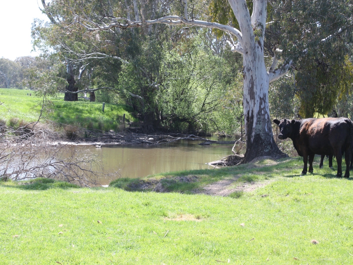 619 Mansfield Road, Benalla