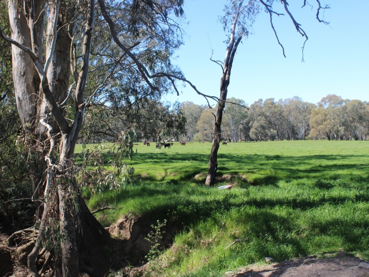 619 Mansfield Road, Benalla