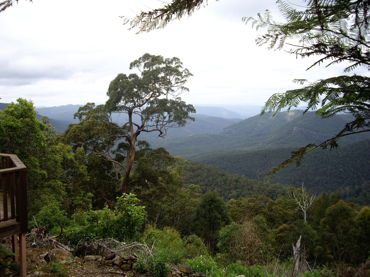 Mount Tamborine