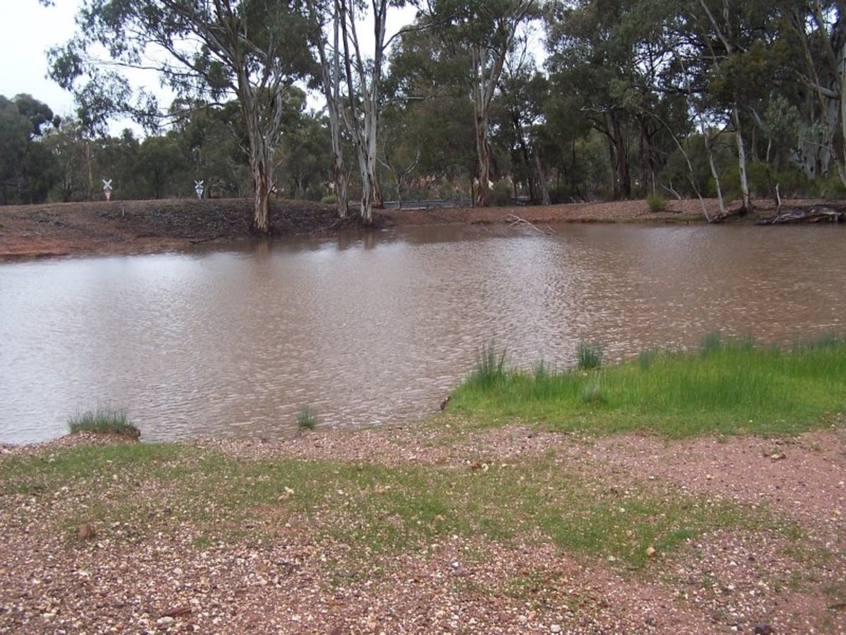 Wychitella F.P. Nevins & Co. Real Estate Inglewood