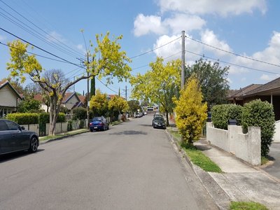 91 Cheltenham Road, Burwood