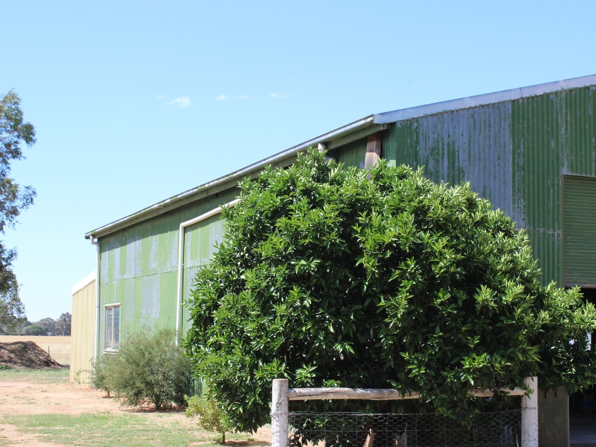 514 Oliver Road, St James