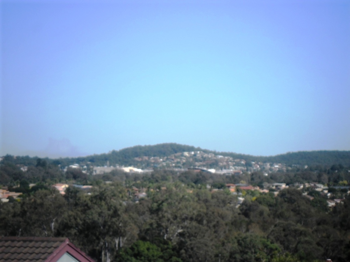 Belmont