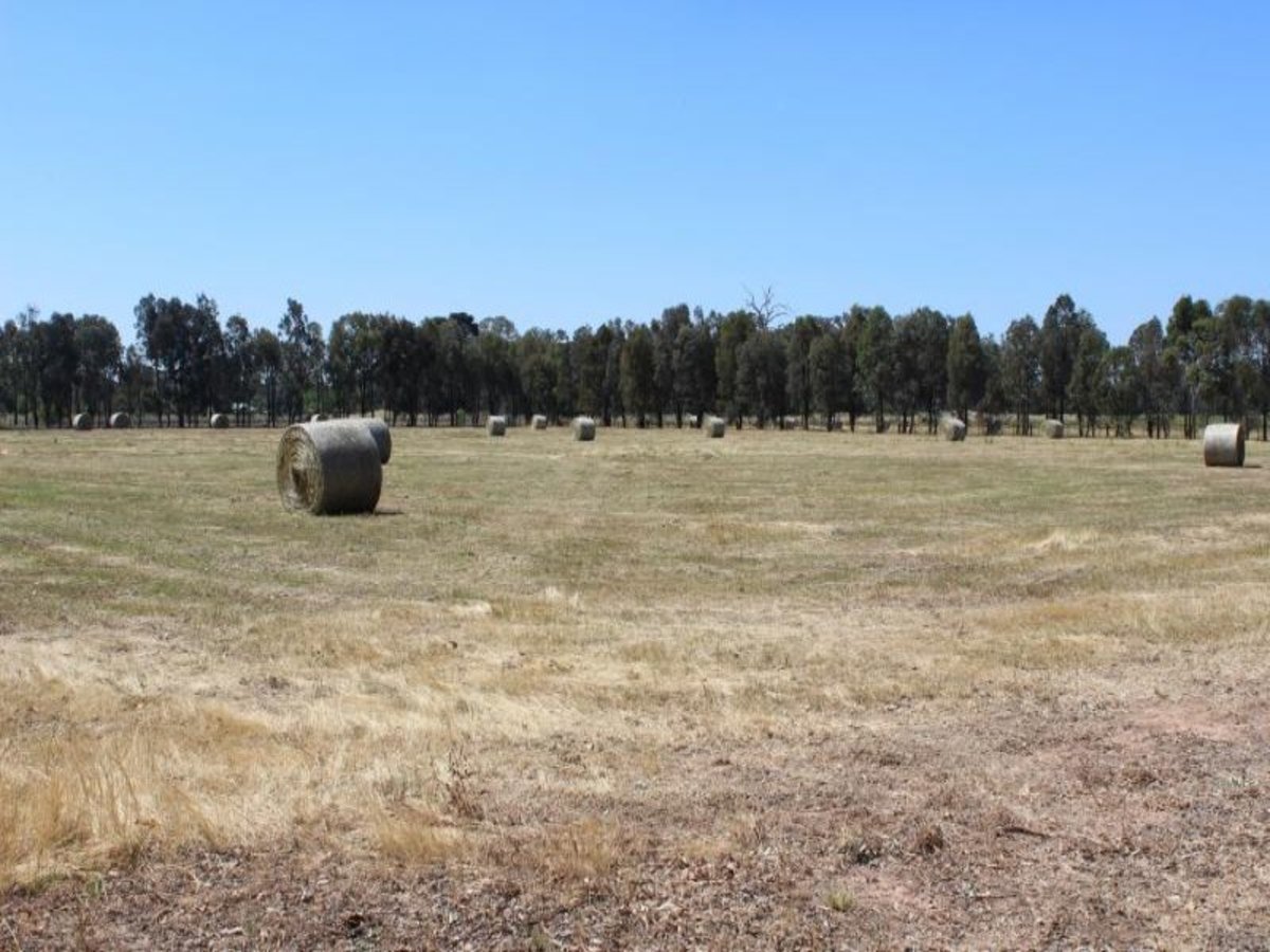 124 Baddaginnie-Benalla Road, Benalla