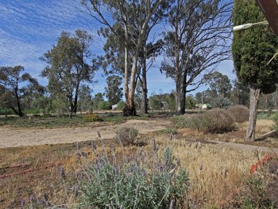 57 Toolleen Cornella Road, Toolleen