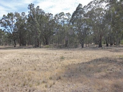 57 Toolleen Cornella Road, Toolleen