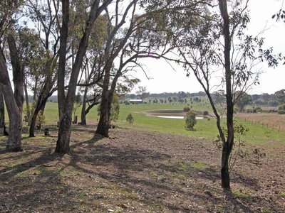 142 Stoddart Road, Heathcote