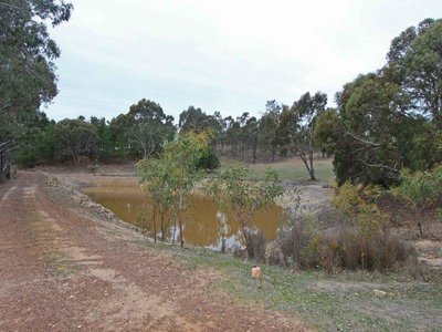 142 Stoddart Road, Heathcote