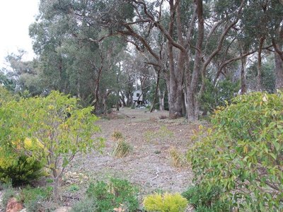 142 Stoddart Road, Heathcote