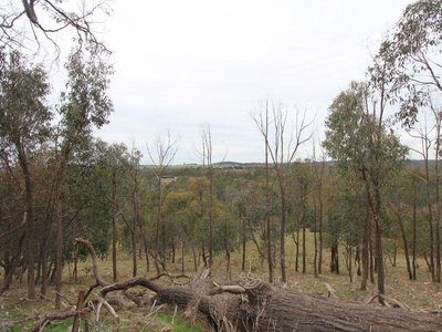 142 Stoddart Road, Heathcote