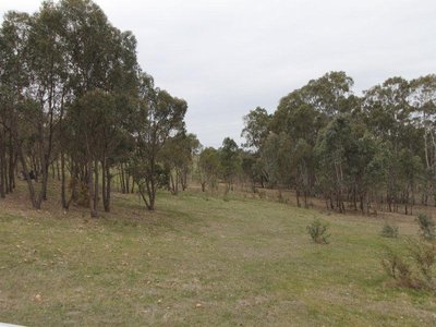 142 Stoddart Road, Heathcote