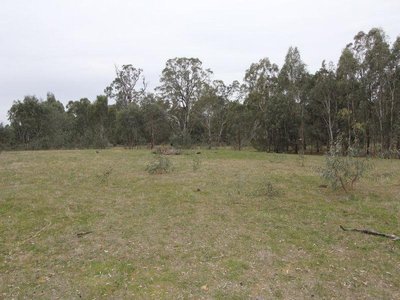 142 Stoddart Road, Heathcote