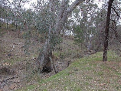 142 Stoddart Road, Heathcote