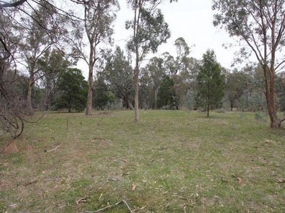 142 Stoddart Road, Heathcote