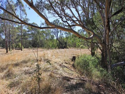 69 Cochranes Road, Heathcote