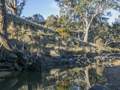 Branding Yards Lane, Heathcote