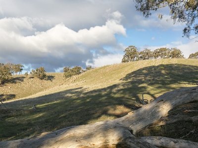 Branding Yards Lane, Heathcote