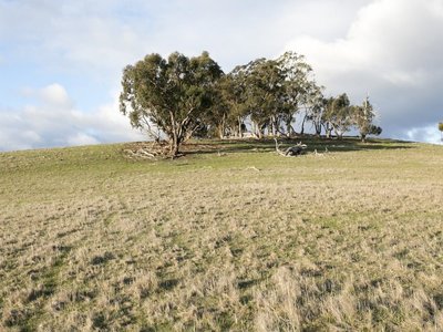 Branding Yards Lane, Heathcote