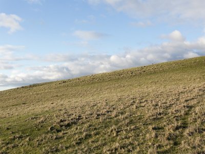 Branding Yards Lane, Heathcote