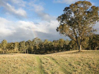 Branding Yards Lane, Heathcote