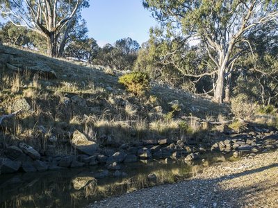 Branding Yards Lane, Heathcote