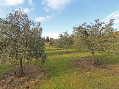 694 Northern Highway, Heathcote