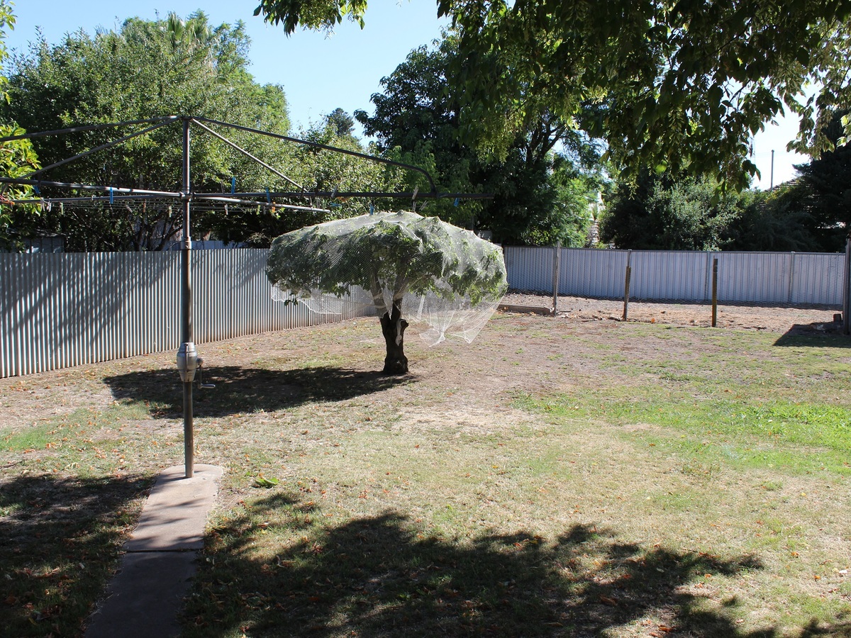 14 Walker Street, Benalla