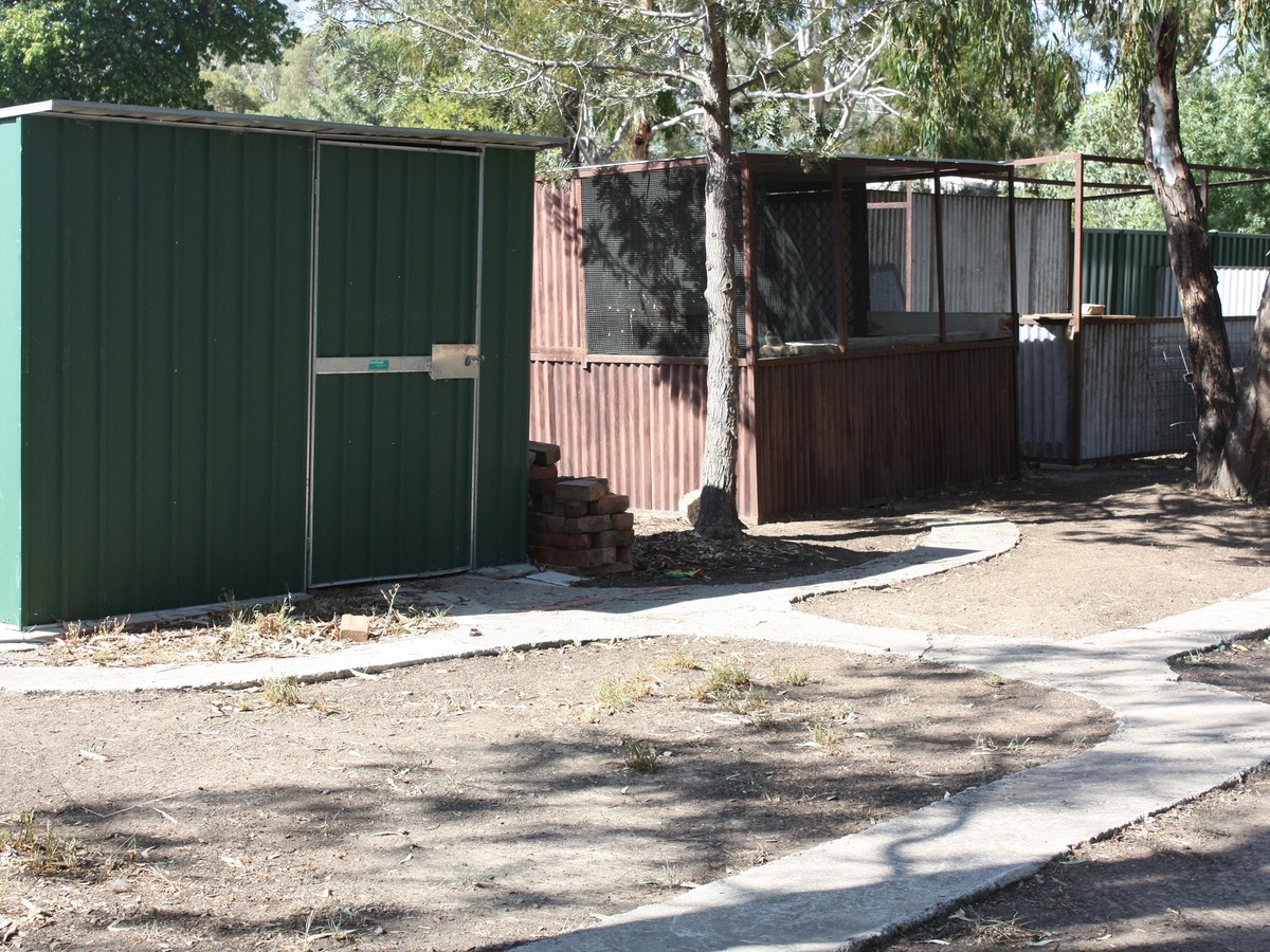 13 Shiffner Street, Violet Town