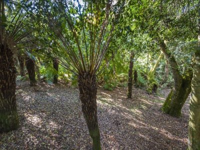 18 Magpie Track, Cherokee