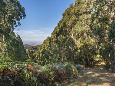 18 Magpie Track, Cherokee