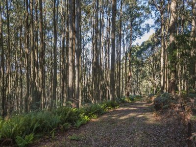 18 Magpie Track, Cherokee