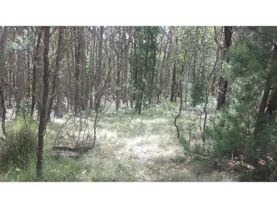 37-A4 Blackwood Road, Macedon