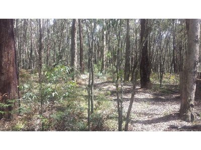 37-A4 Blackwood Road, Macedon