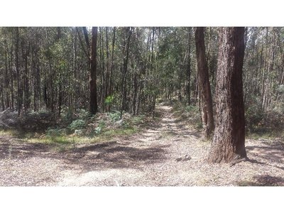 37-A4 Blackwood Road, Macedon