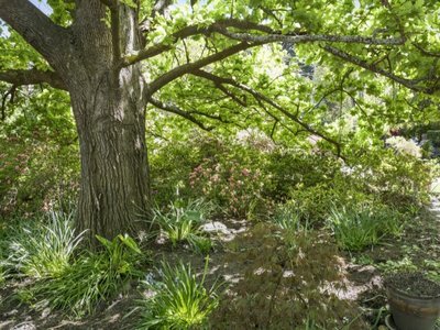 496 Mount Macedon Road, Mount Macedon