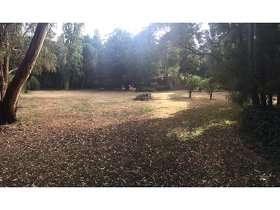 17 Ryans Parade, Mount Macedon