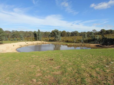 1841 Heathcote- Nagambie Road, Heathcote