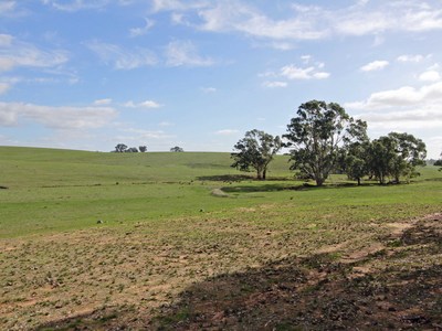 100 Meadow Valley Road, Heathcote