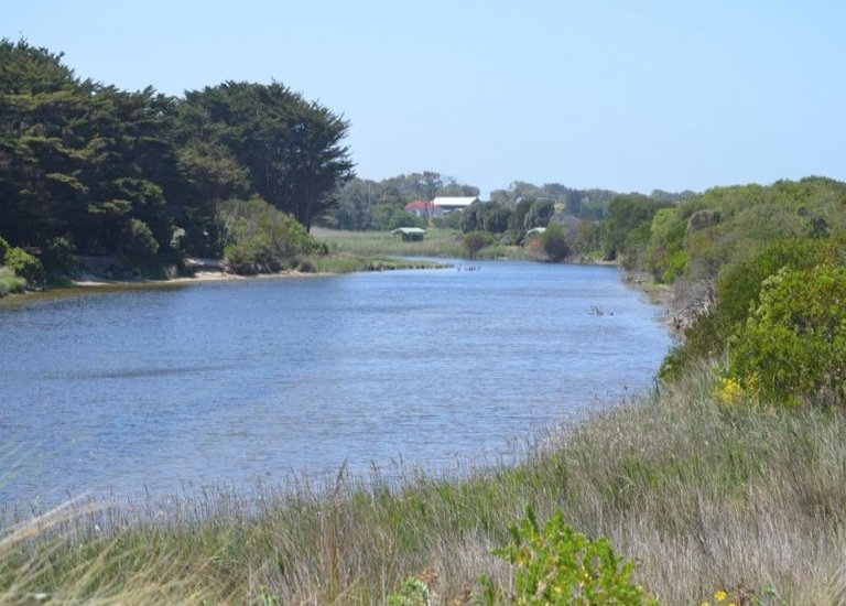 Lot 8, Windham Street, Narrawong