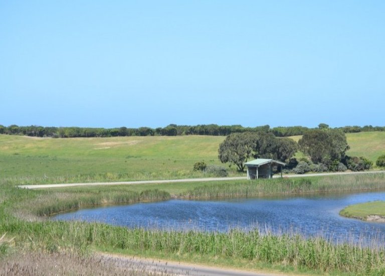 Lot 8, Windham Street, Narrawong