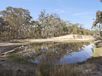 91 Tehan Court, Heathcote