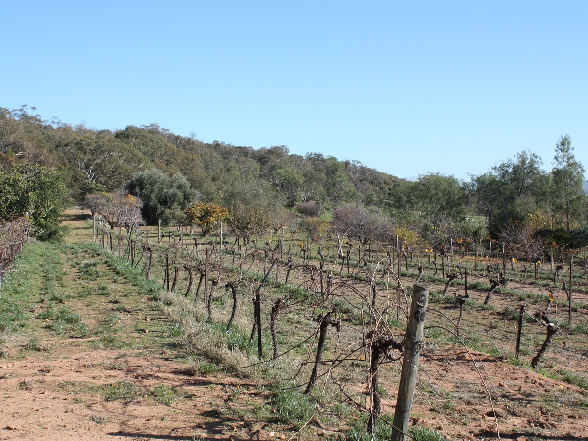 Glenrowan