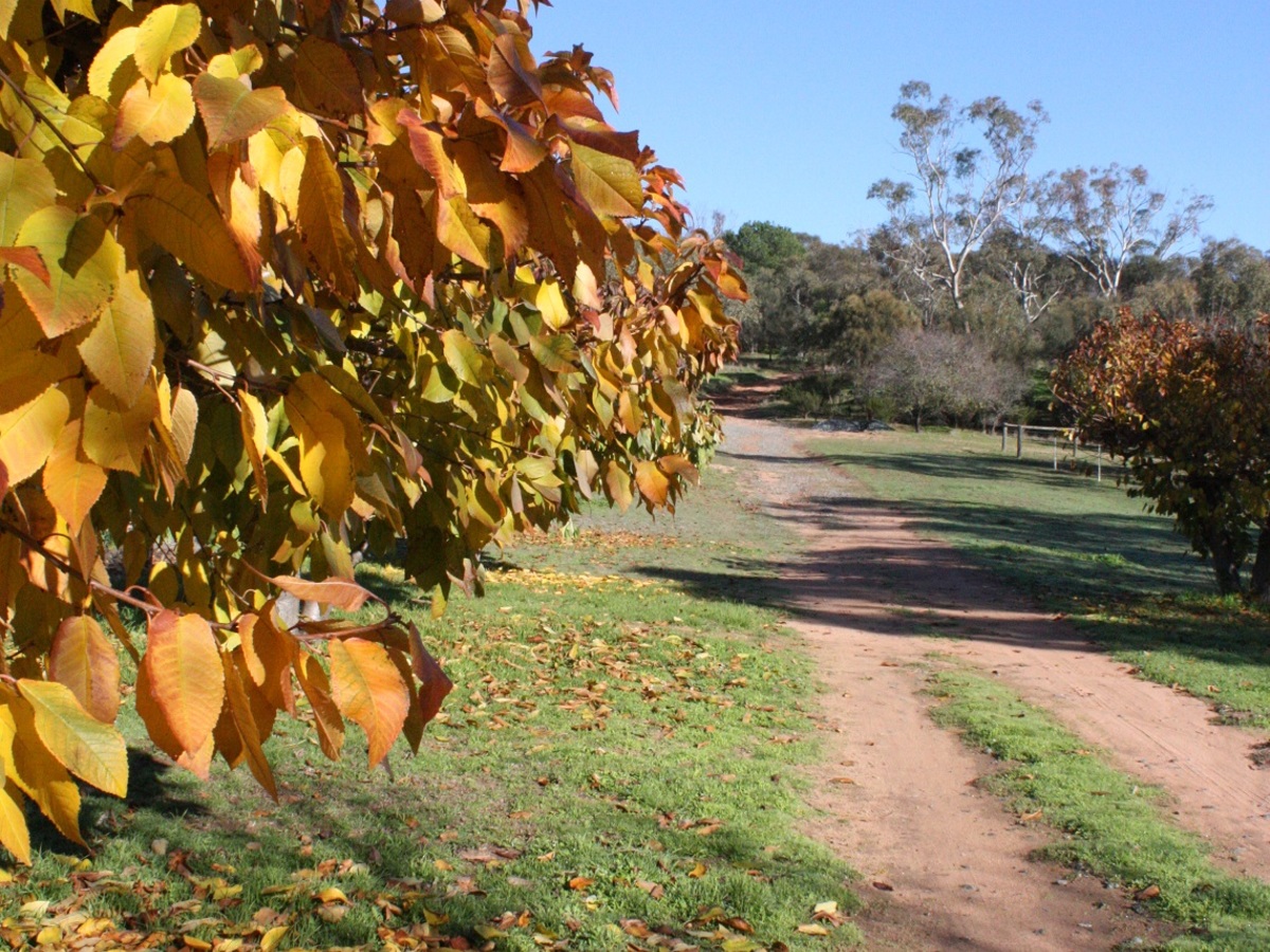 Glenrowan