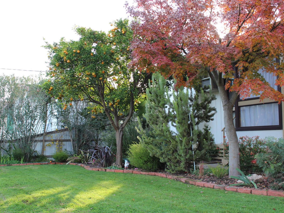 8 Russell Street, Benalla